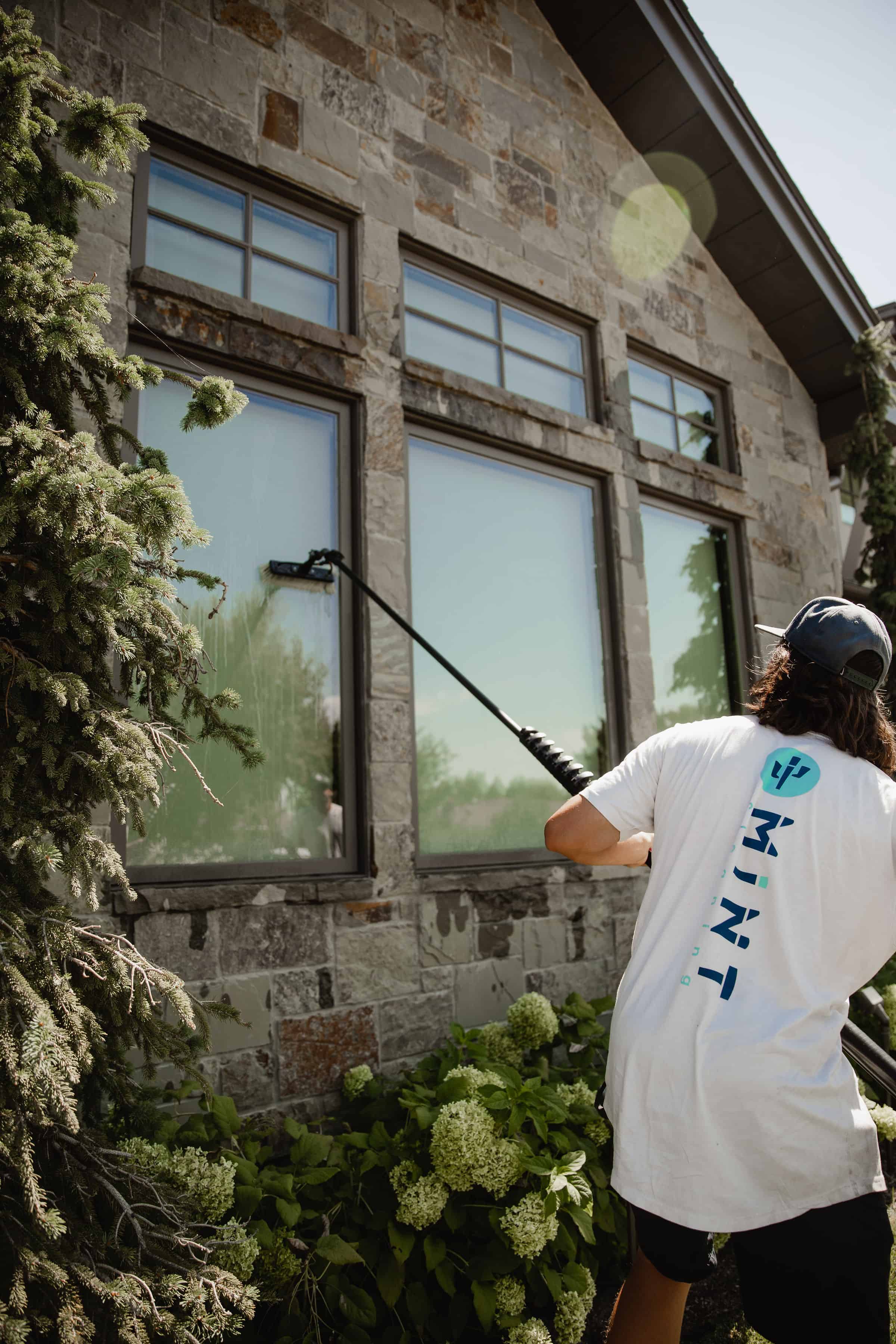 Exterior Window Cleaning image