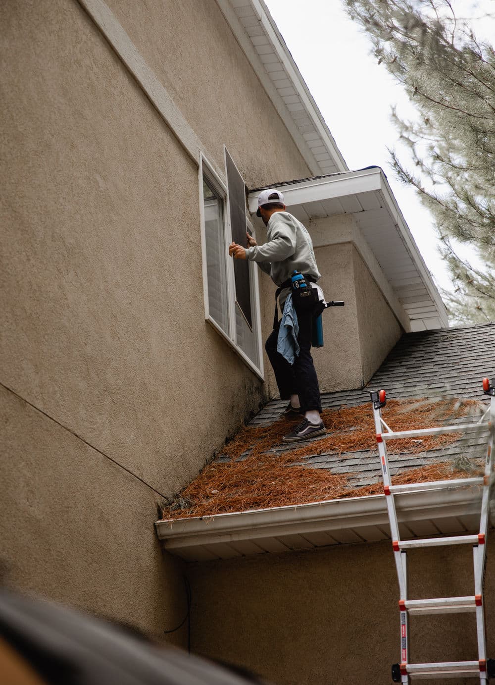 Worker cleaning roof and window, using ladder, pine needles around house exterior.